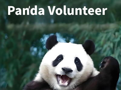 Chengdu Panda Base Volunteer Best Time of Year: A Complete Seasonal Guide
