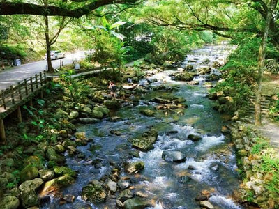 Guangzhou Dim Sum Walking Tour: The Best Time for an Authentic Experience