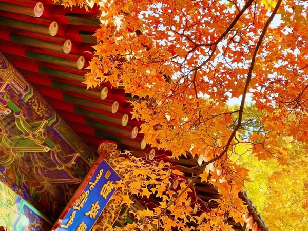 China Multi-City Private Tour: The Most Comfortable Travel Seasons