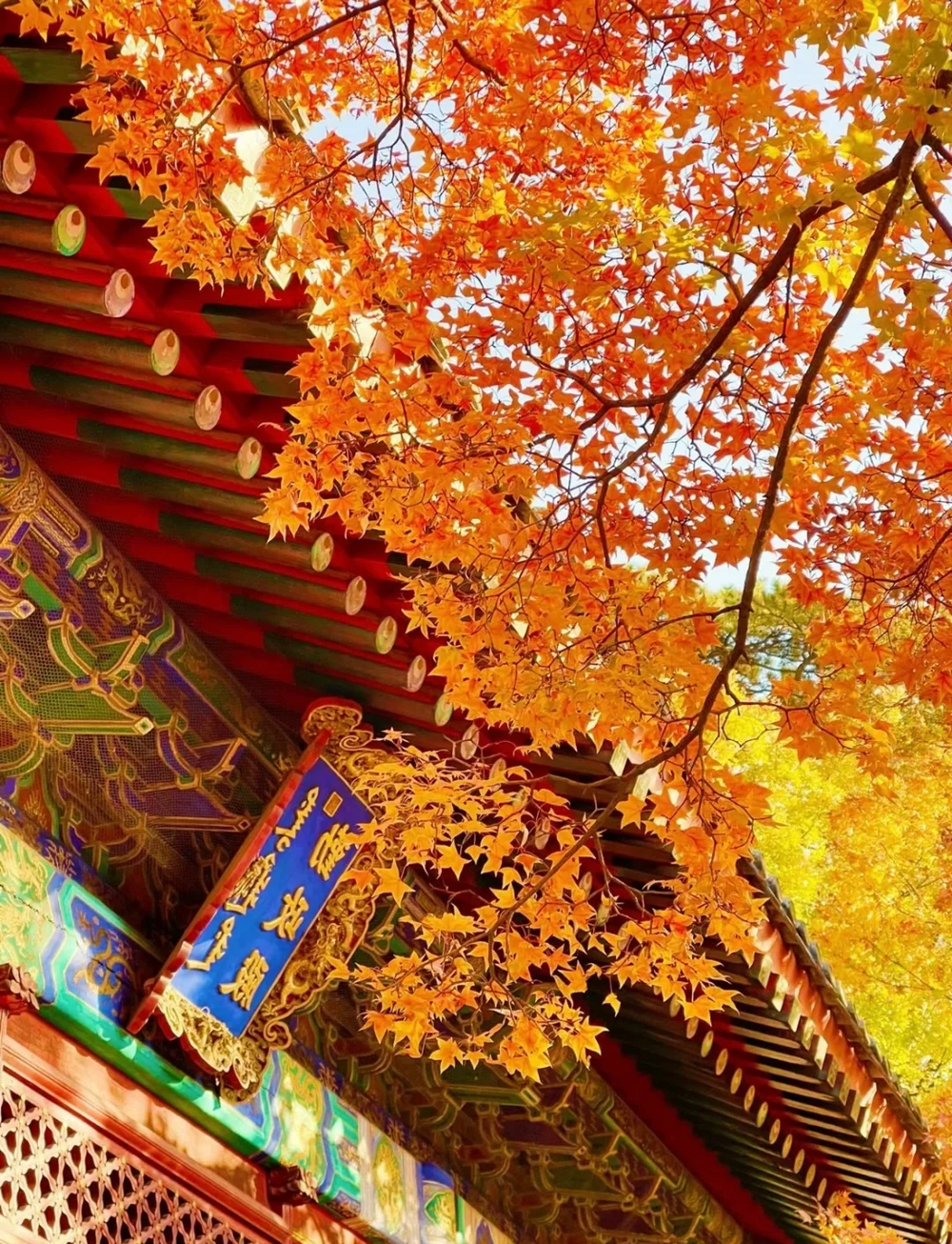 Comfortable seasonal China multi-city private tour with customized travel routes across Beijing, Xi'an and Chengdu
