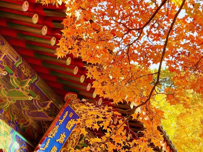 China Multi-City Private Tour: The Most Comfortable Travel Seasons
