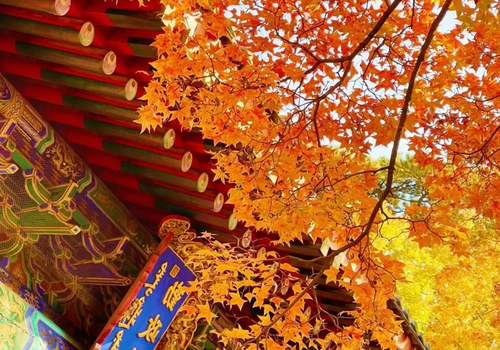 China Multi-City Private Tour: The Most Comfortable Travel Seasons