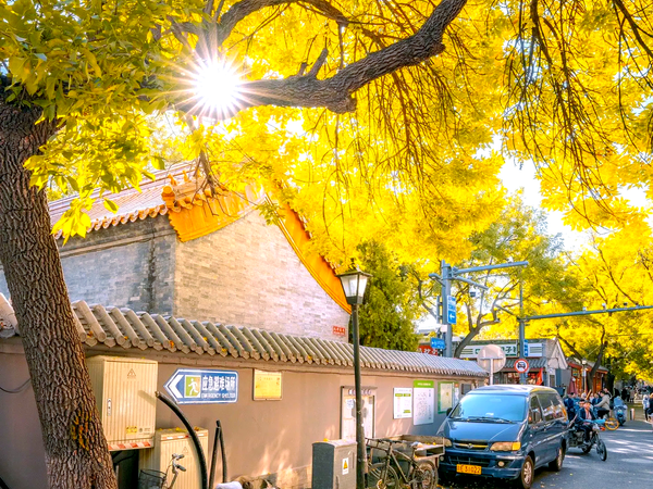 Beijing Beyond the Brochure: The Best Time of Year for a Private Tour