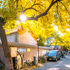 Beijing Beyond the Brochure: The Best Time of Year for a Private Tour | sundatravel