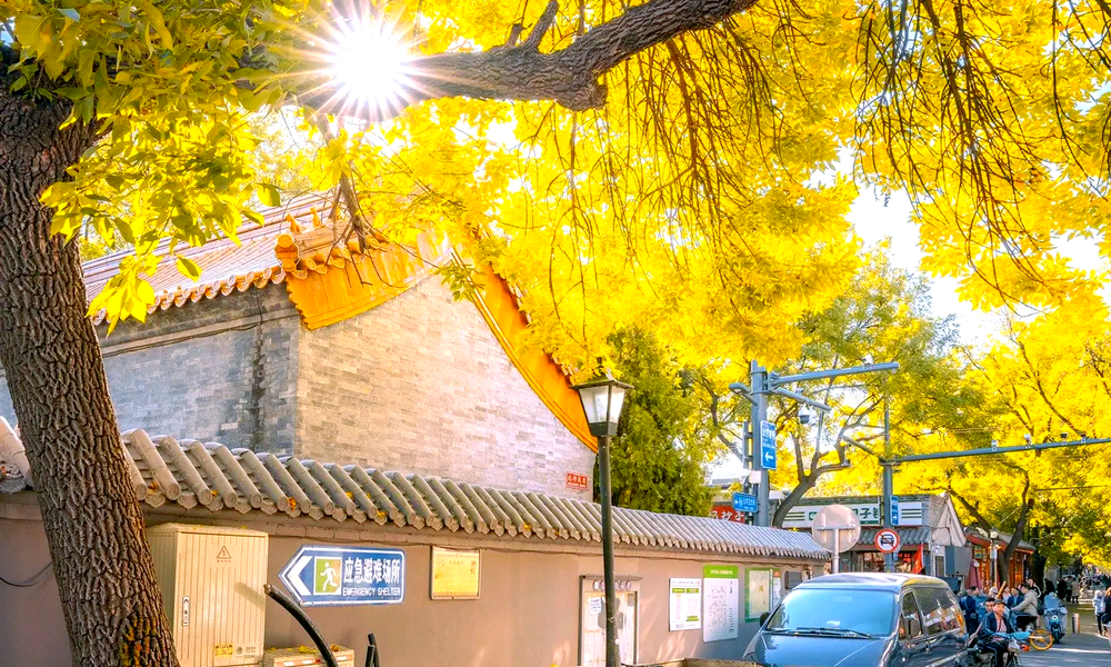 Beijing Beyond the Brochure: The Best Time of Year for a Private Tour | sundatravel - Travel story