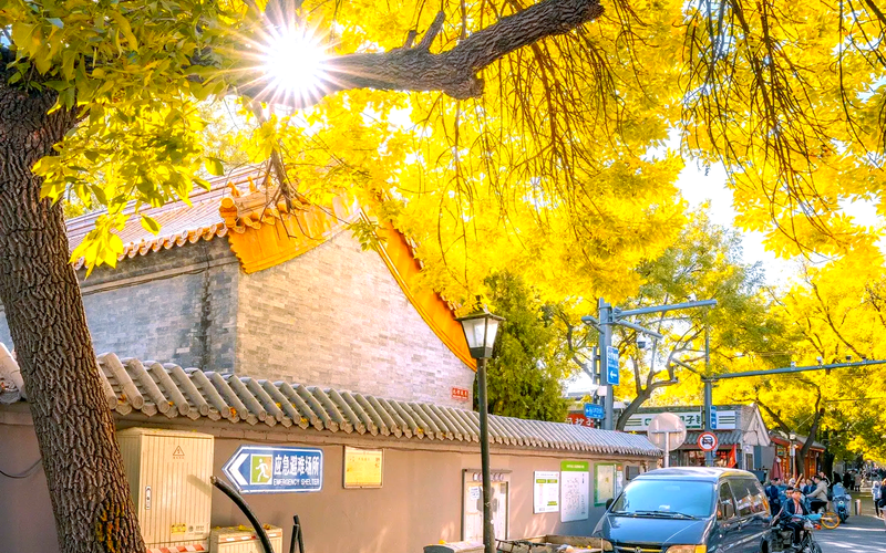 Beijing Beyond the Brochure: The Best Time of Year for a Private Tour - 旅行故事