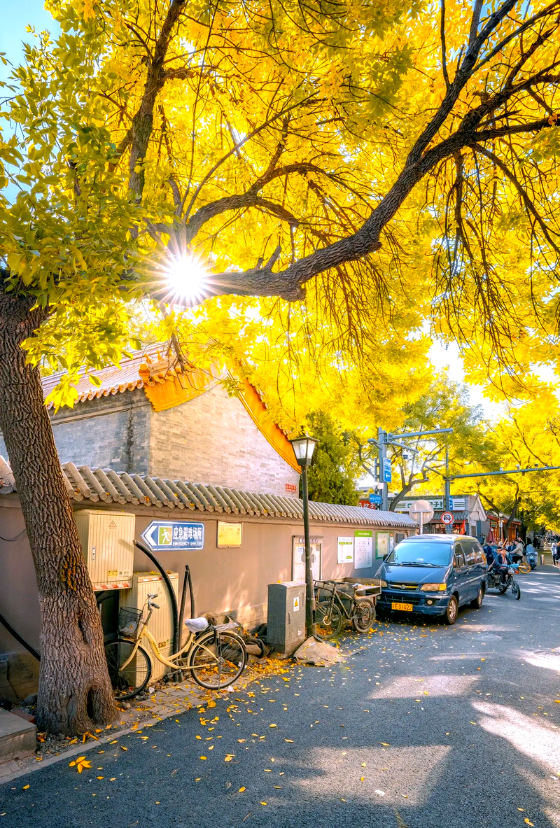 Beijing Travel Guide 2026: Best Season & Weather Tips — China Travel Guide | Sunda Travel