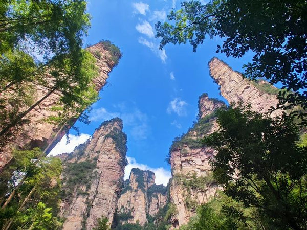 Zhangjiajie In-Depth Nature & Culture Experience: Avatar Peaks & Tujia Heritage
