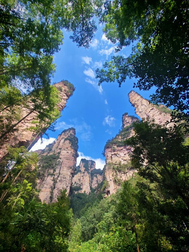 Zhangjiajie floating Avatar mountains, UNESCO World Natural Heritage Hunan China | Sunda Travel one day tour