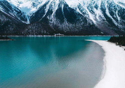 5 Best Private Tour Operators in China (2026 Review)