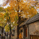 Beijing Hutong rickshaw tour best weather months