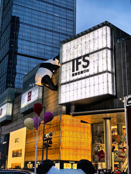 An Enchanting Panda - themed Journey in Chengdu