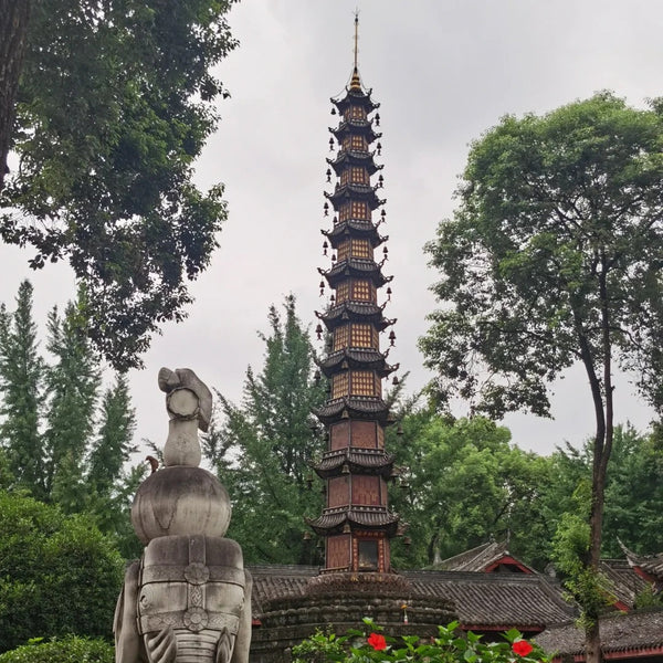 Panda Valley + Dujiangyan + Qingcheng Mountain One-Day Private Tour