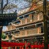 Unveiling Cultural Heritage, Embracing Leisure, and Tracing Prosperity