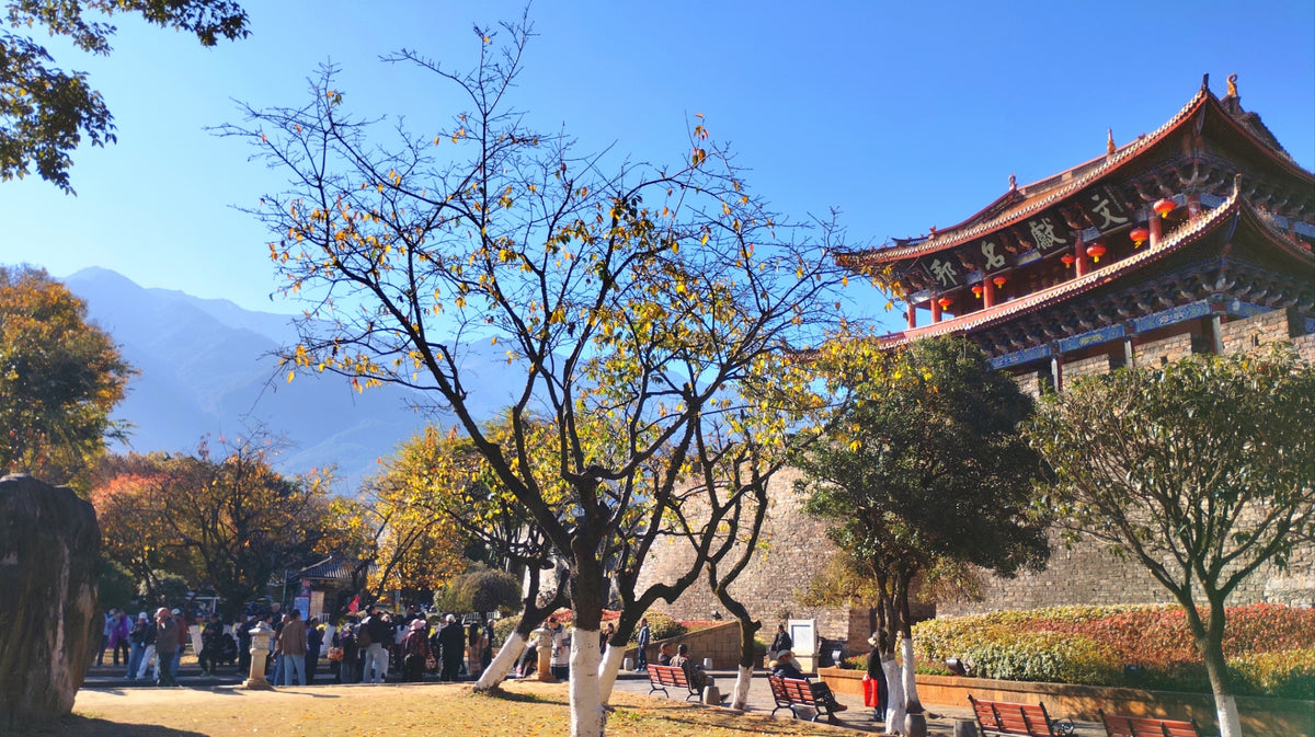 Bai Villages & Cangshan Mountain — Dali