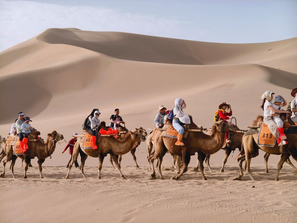 12-Day China Silk Road Tour from Xi'an to Kashgar