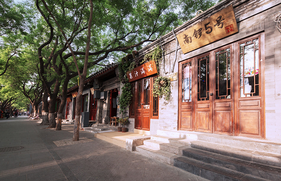 Forbidden City & Beijing Hutong — Beijing