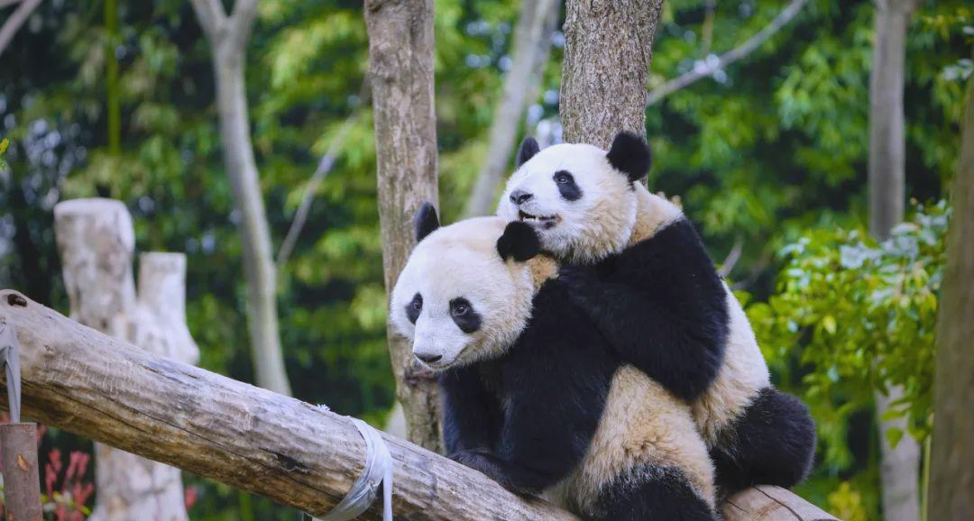 A private China tour — landscapes and landmark cities seen on a first journey