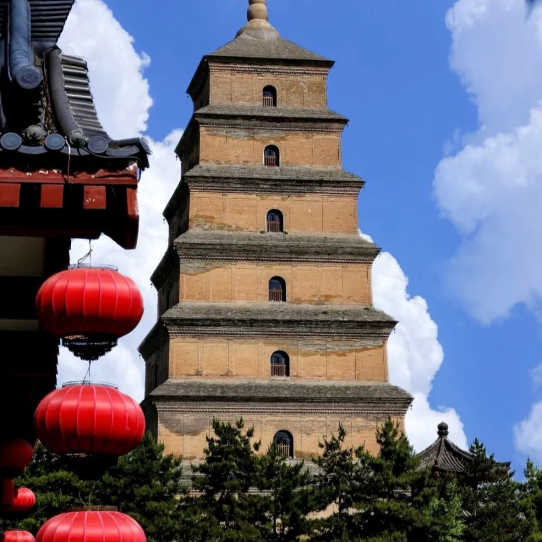 Meet The Pandas and China Essence