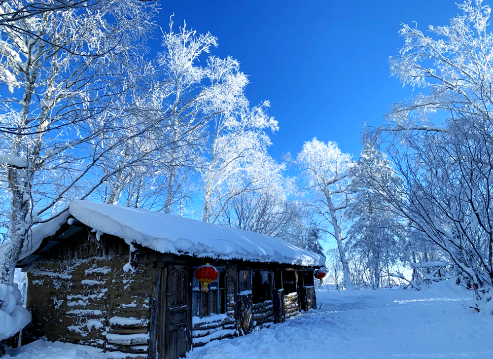 5 Days Harbin & China Snow Town Tour: From Ice Kingdom to Snowy Fairy Tales