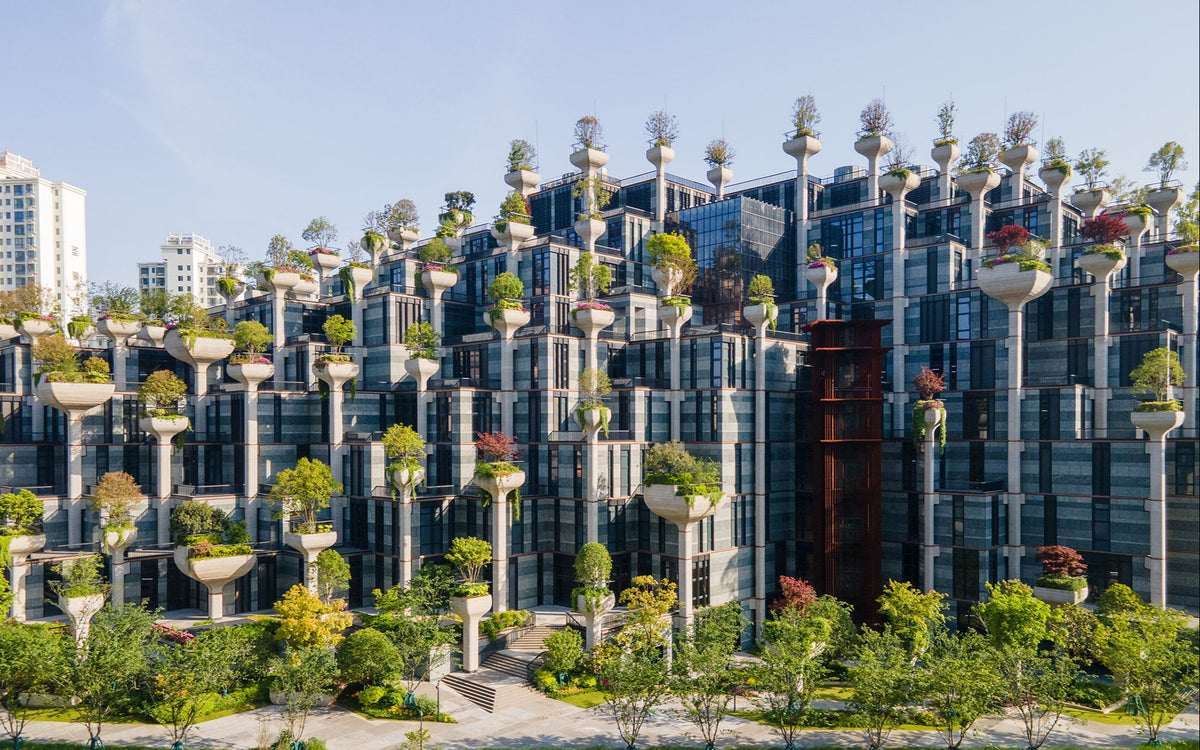China travel experience