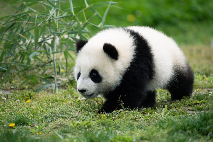 China private tour