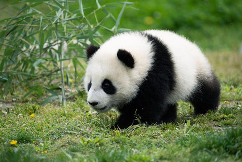 China private tour