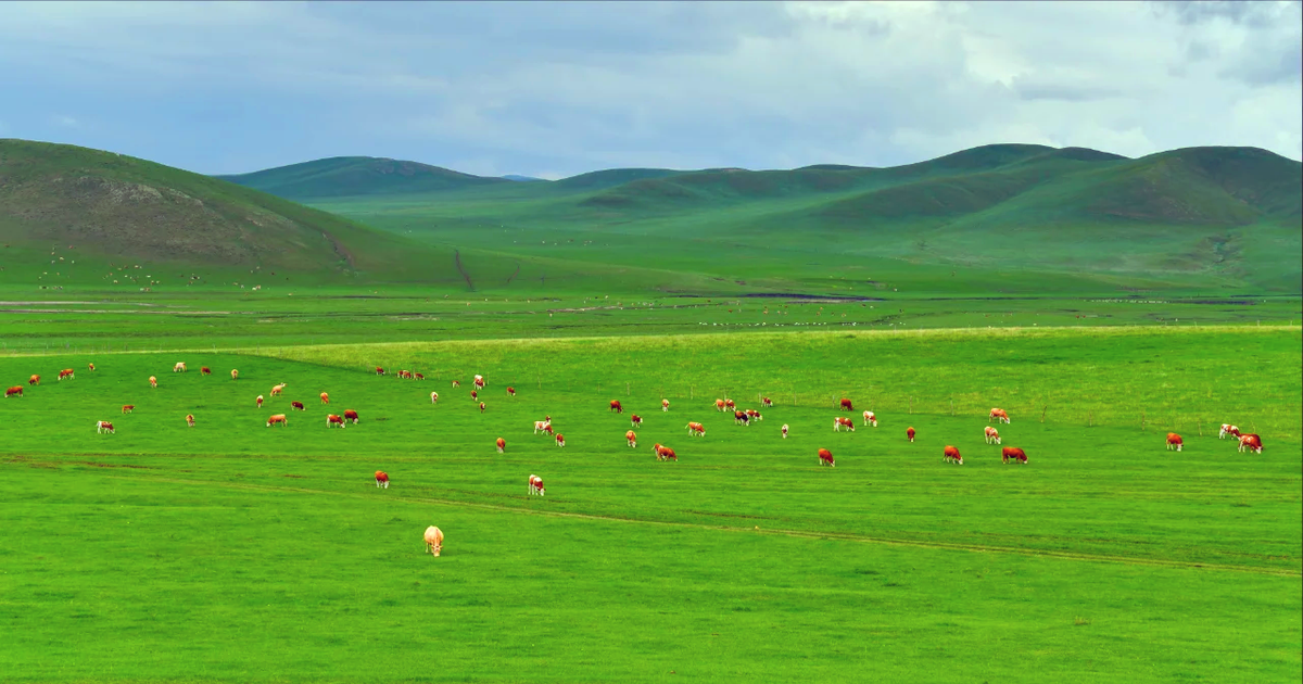 China private tour