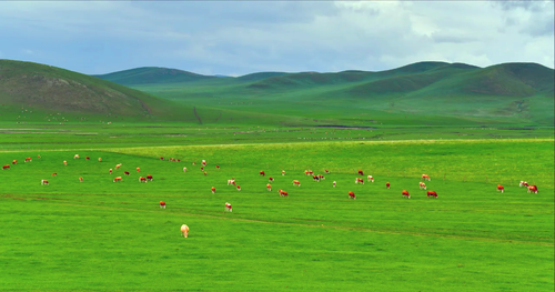 China private tour