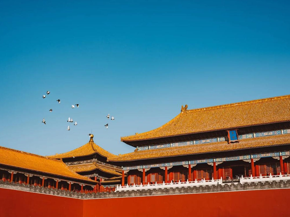 China cultural experience