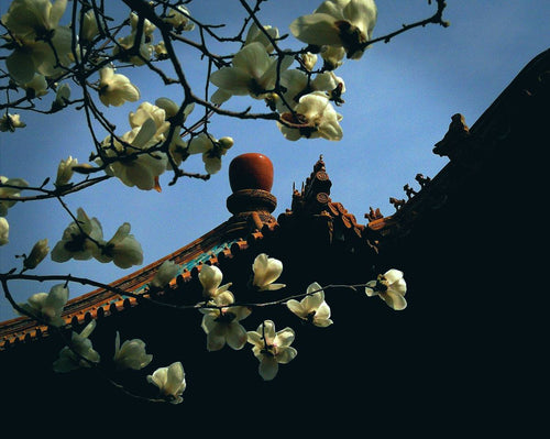 China landscape