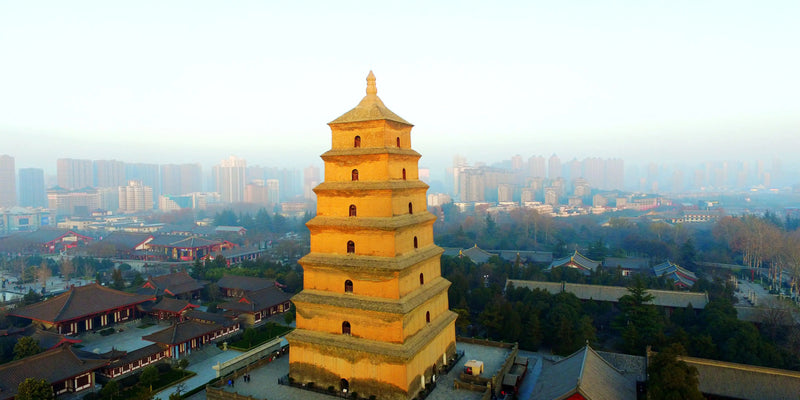 Day 6 - Xi'an's Timeless Treasures: Shaanxi History Museum and Big Wild Goose Pagoda & Bullet train to Chengdu