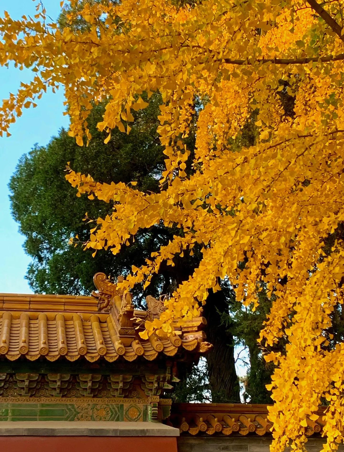 China travel landscape and cultural highlights