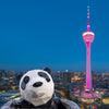 An Enchanting Panda - themed Journey in Chengdu