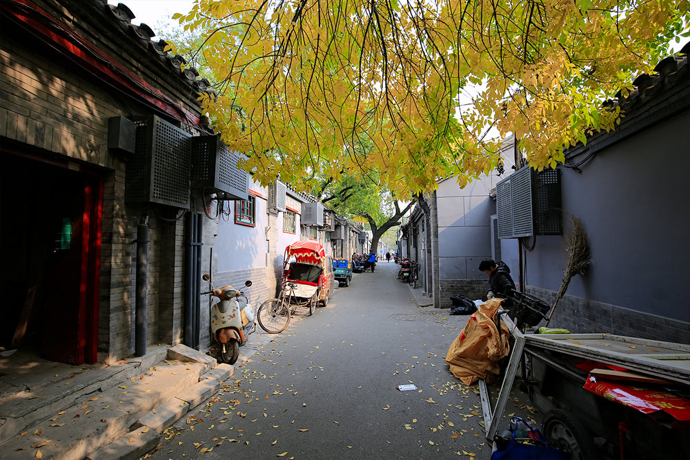 China local experience