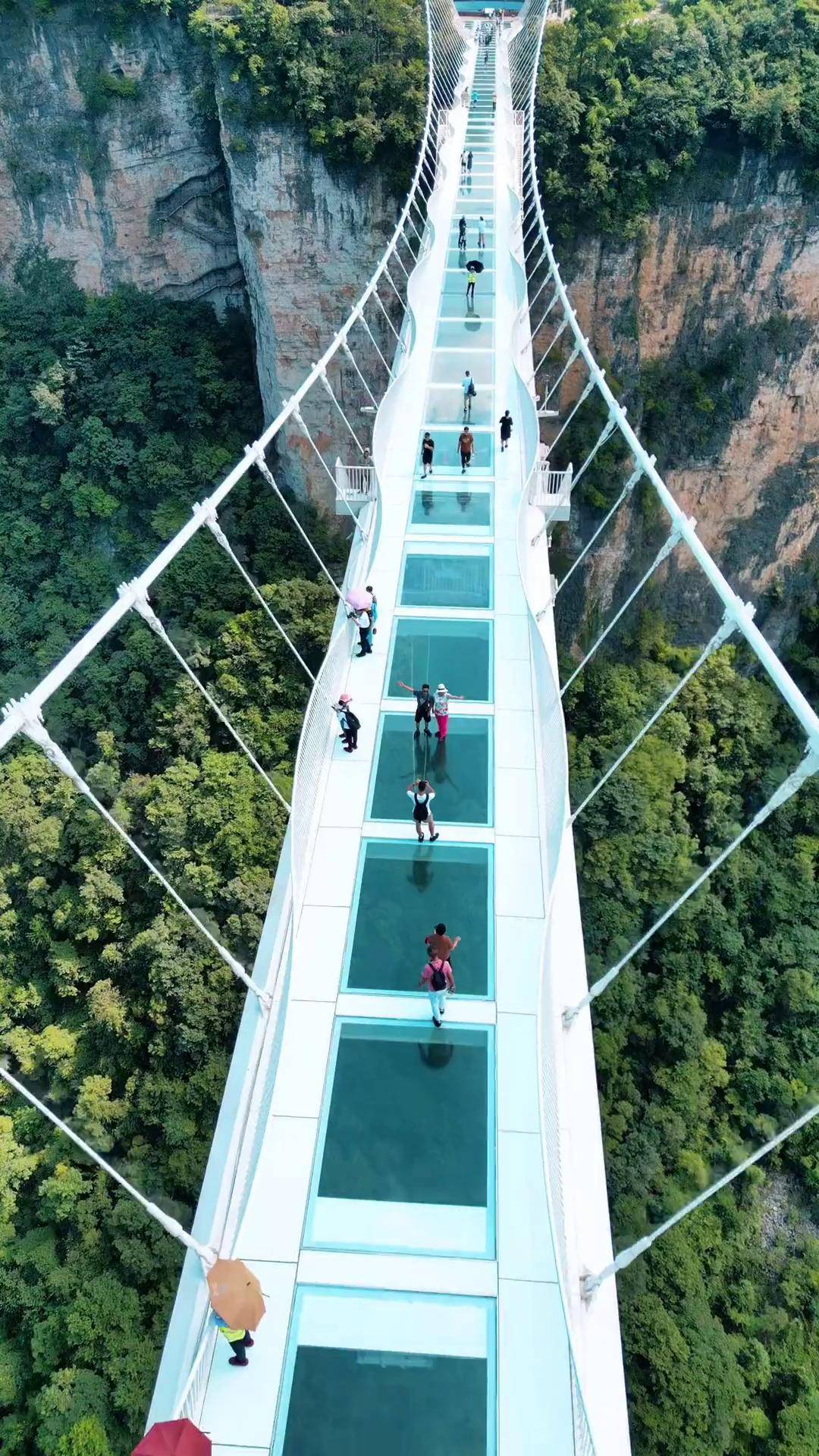 Glass Bridge & Shanghai — Zhangjiajie → Shanghai