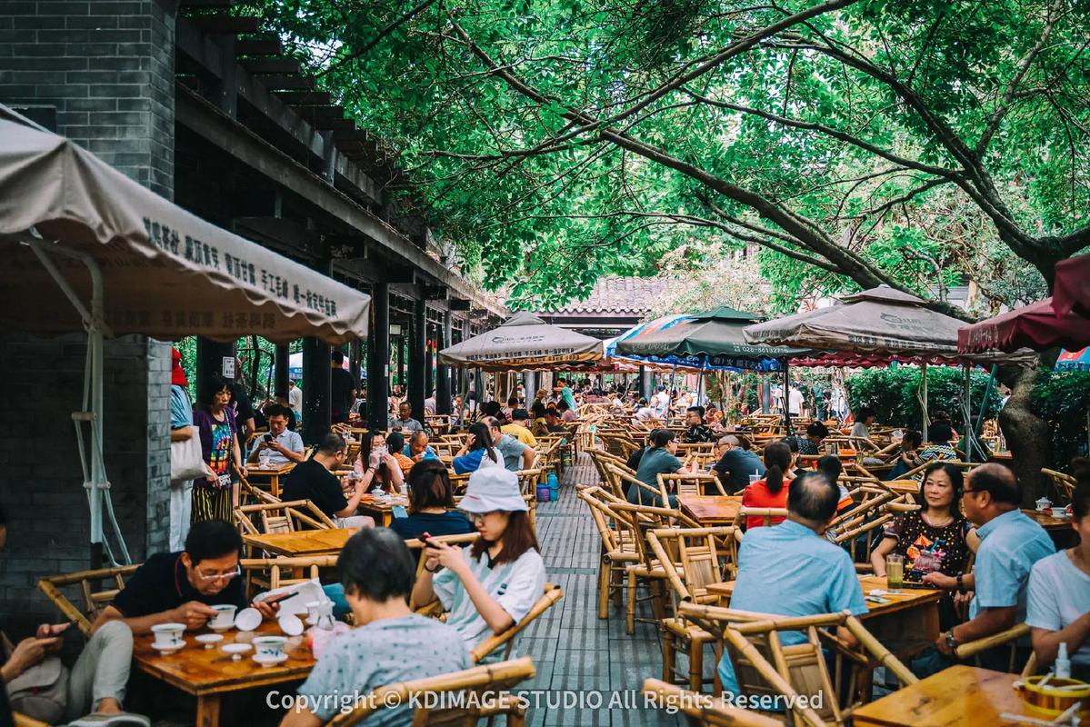Giant Pandas & Old Chengdu — Chengdu