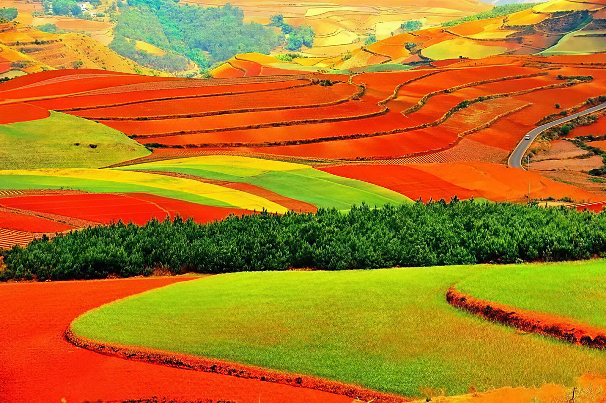 Special interest travel in China — food, photography, culture