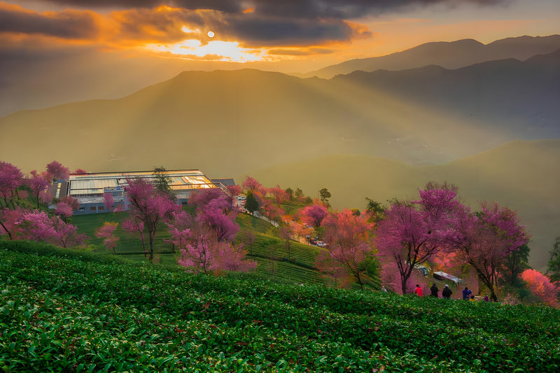 Experience the highlights of a tailor-made China journey