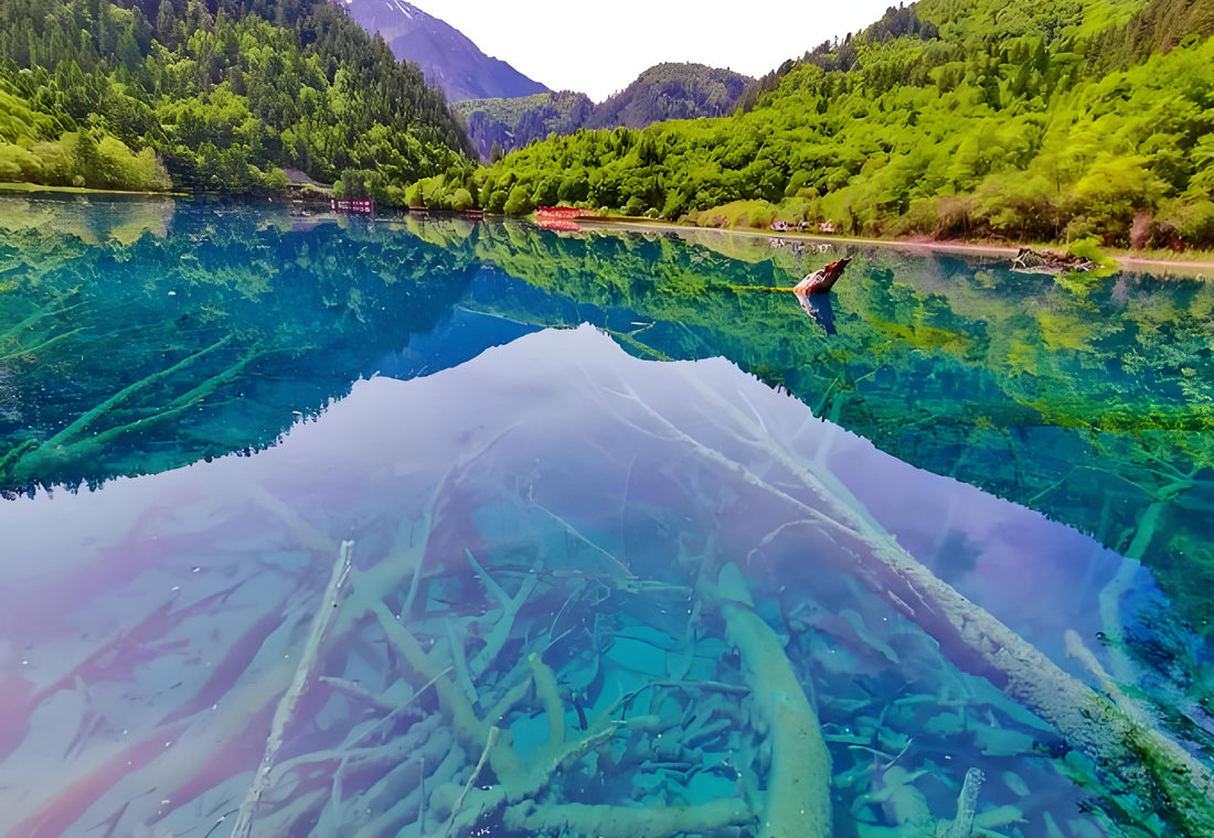8-Day Chengdu, Jiuzhaigou and Chongqing Tour