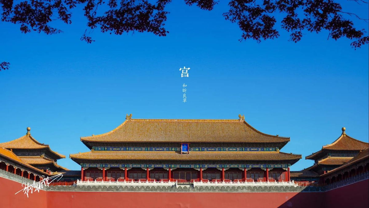 Beijing Layover — Forbidden City & Hutongs — Beijing 