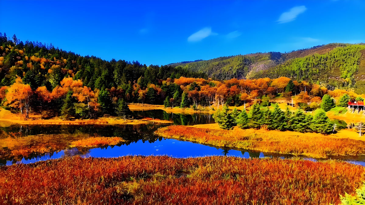Songzanlin Monastery and Pudacuo National Park in Shangri-La
