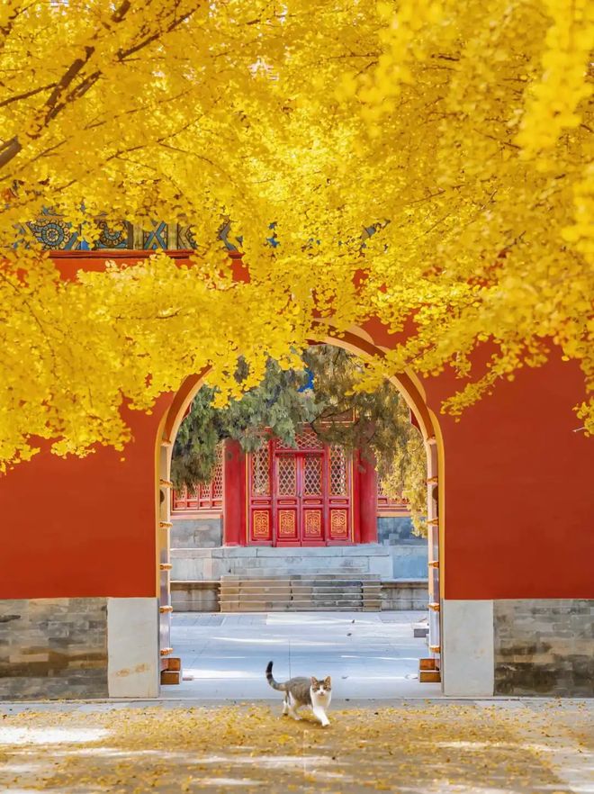 China landscape experience