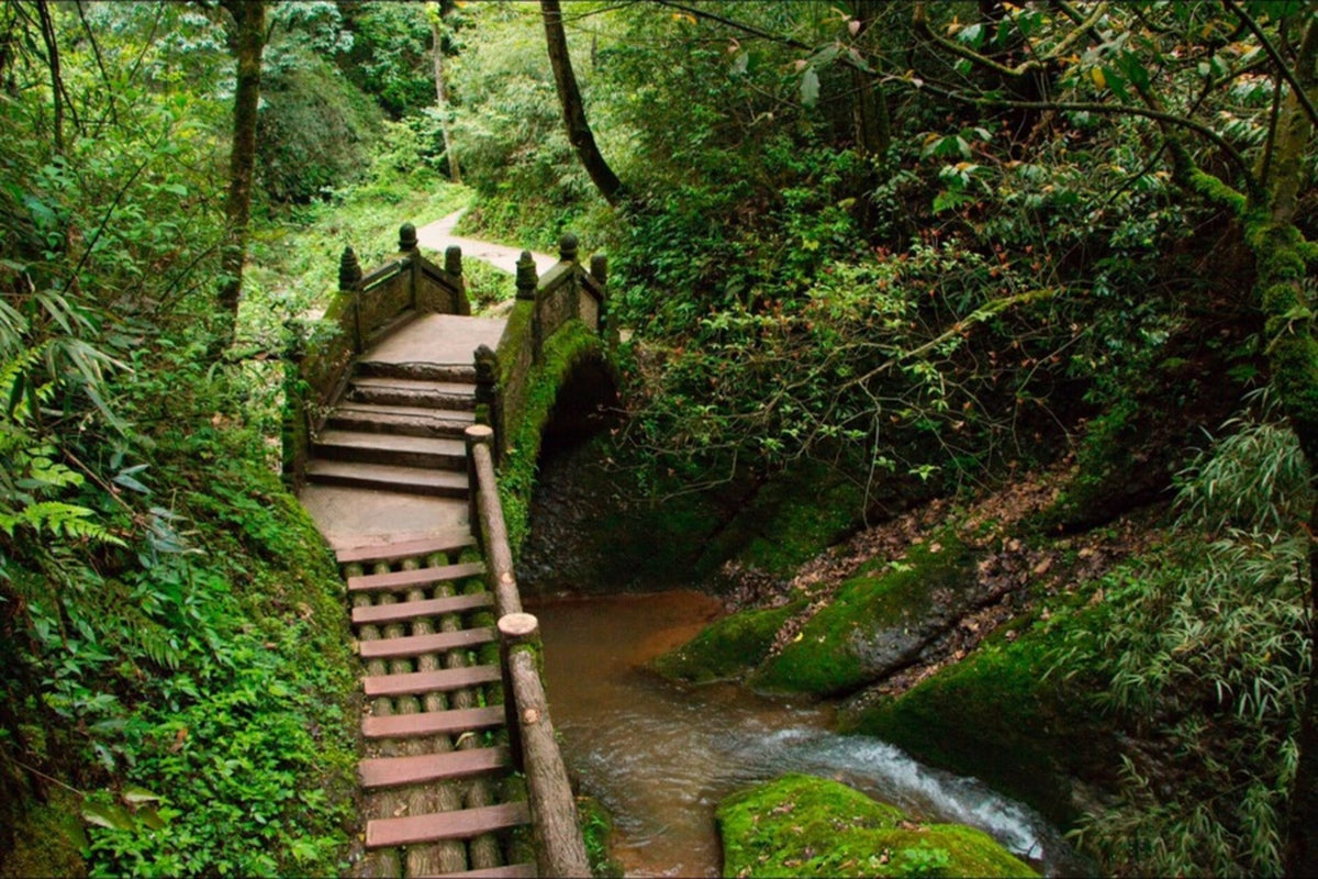 Dujiangyan & Mount Qingcheng — UNESCO World Heritage Journey — Dujiangyan · Mount Qingcheng