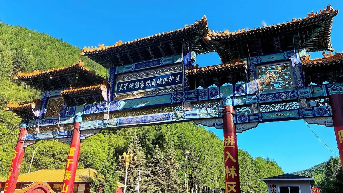 Saihanba Forests & Bashang Grassland — Chengde → Ulan Butong