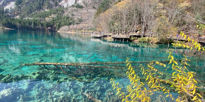 Day 6: The Dreamy Journey in Jiuzhaigou, a Fairyland on Earth